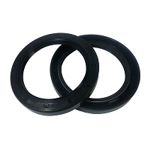 Oil Seal TC